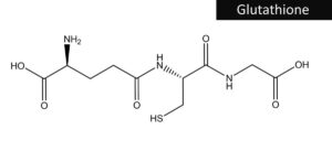 Chemical structure of Glutathione molecule