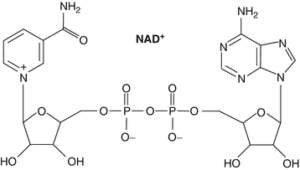 chemical structure of NAD+