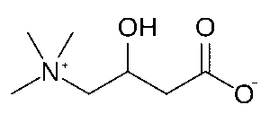 L-Carnitine 500mg/mL 10mL Vial - Image 3