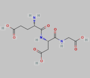 Chonluten 20mg - Image 3